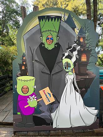 Halloween speciale a zoomarine per superare le paure dei bimbi con maghi, medici e psicologi